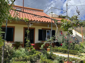 Chinchilla's House Madeira Style